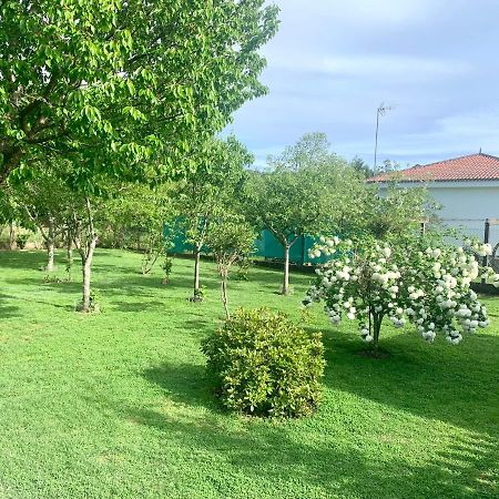 Apartamento A Casa Vermella con jardín a 10 minutos de Santiago de Compostela Ortono Exterior foto