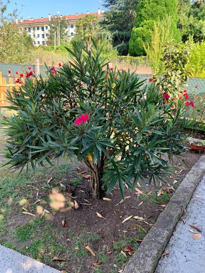 Apartamento A Casa Vermella con jardín a 10 minutos de Santiago de Compostela Ortono Exterior foto