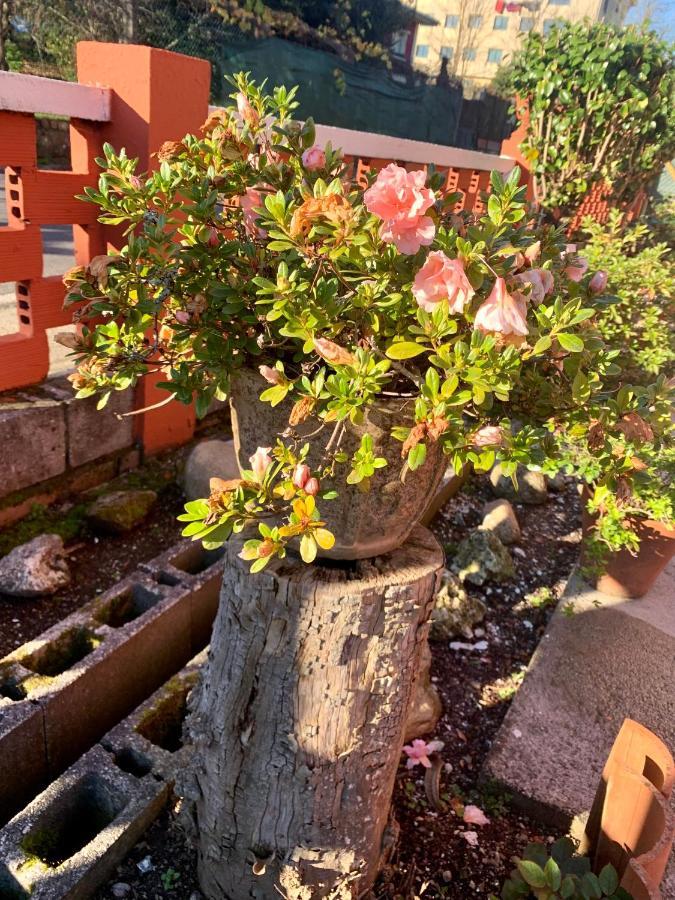 Apartamento A Casa Vermella con jardín a 10 minutos de Santiago de Compostela Ortono Exterior foto